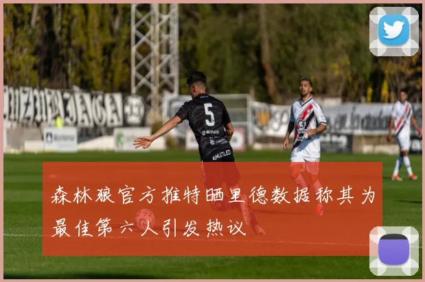 森林狼官方推特晒里德数据称其为最佳第六人引发热议