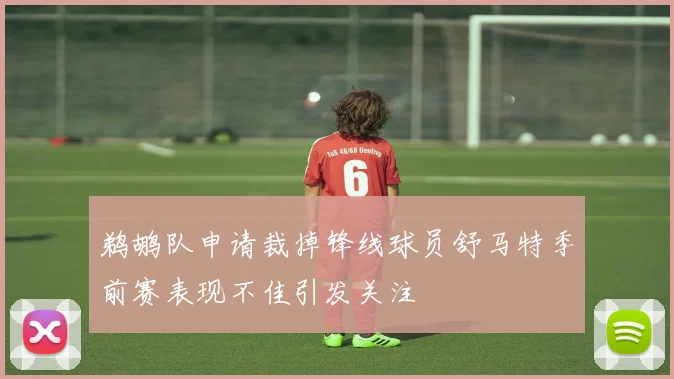 鹈鹕队申请裁掉锋线球员舒马特季前赛表现不佳引发关注