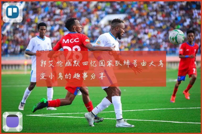 郭艾伦幽默回忆国家队绰号由大鸟变小鸟的趣事分享