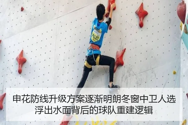 申花防线升级方案逐渐明朗冬窗中卫人选浮出水面背后的球队重建逻辑 - LDSPORTS